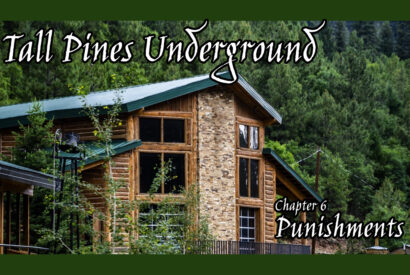 Thumbnail for Punishments [Tall Pines Underground #6]